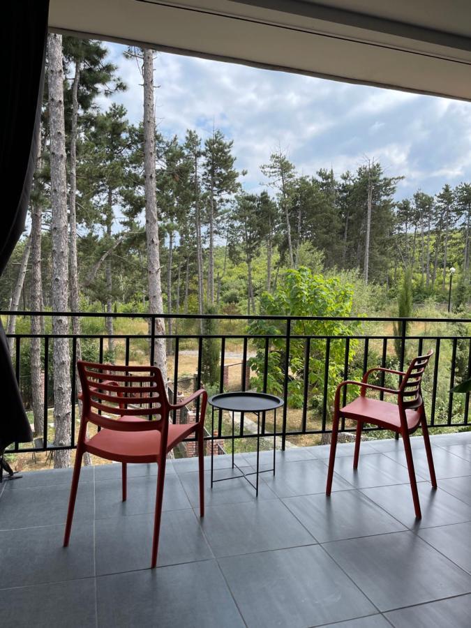Hotel Უცხო-Utskho Telavi Ngoại thất bức ảnh